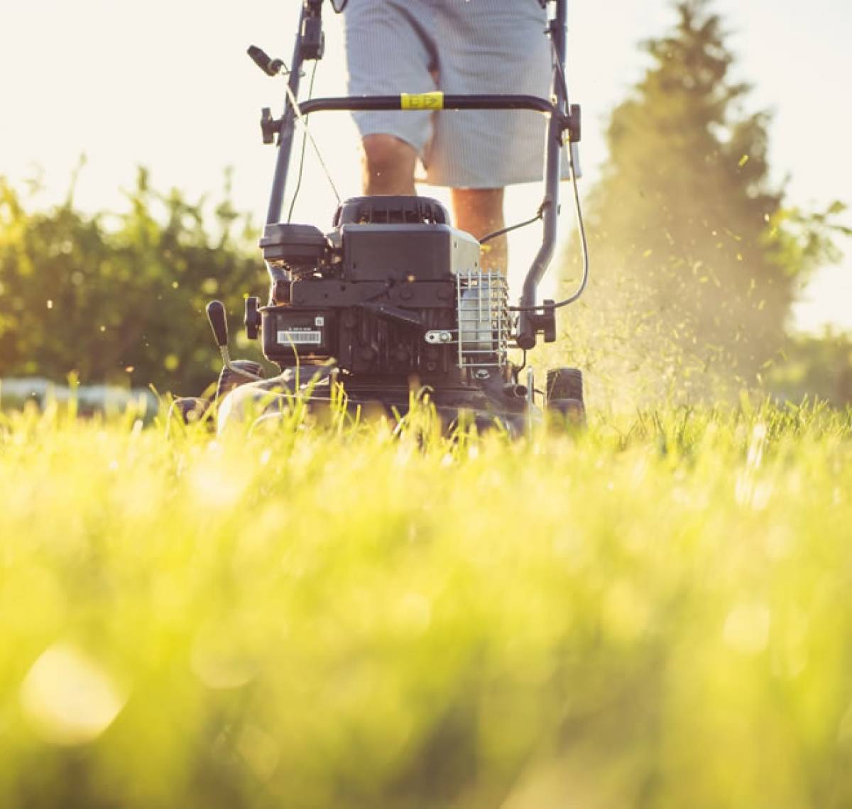 Gardening Services